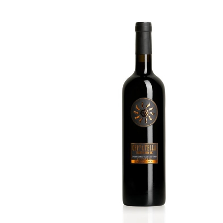CEPPATELLA DOC TERRE DI PISA 75 CL (U)