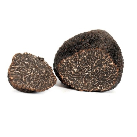 TARTUFO NERO FRESCHI MELANOSPORUM (KG)*