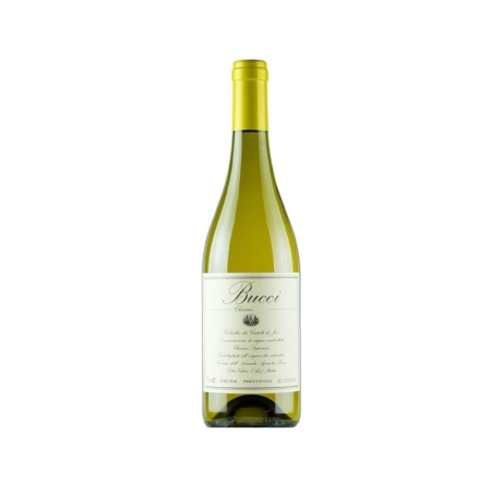 VERDICCHIO DEI CASTELLI DI JESI BUCCI 75 CL (U)