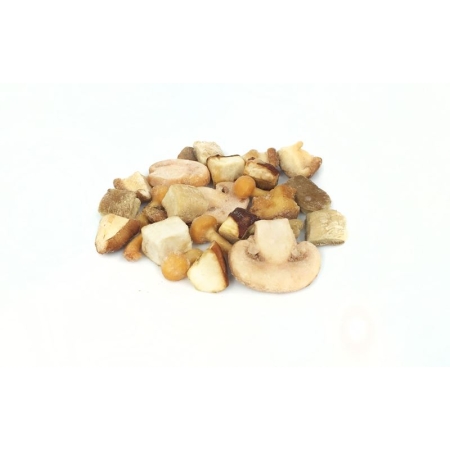 MEZCLA SETAS CON BOLETUS HONZA CONGELADO 1 KG (U)