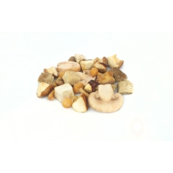 MEZCLA SETAS CON BOLETUS HONZA CONGELADO 1 KG (U)
