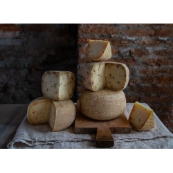 CAMPI AL FINOCCHIO QUATTRO PORTONI +/- 1.6 KG (KG)*