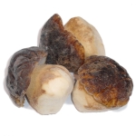 BOLETUS EDULIS 1º ENTERO HONZA 1 KG (U)